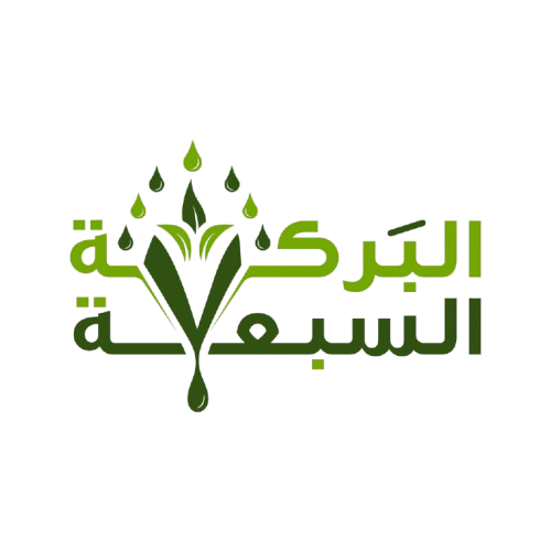 barakaSeven logo