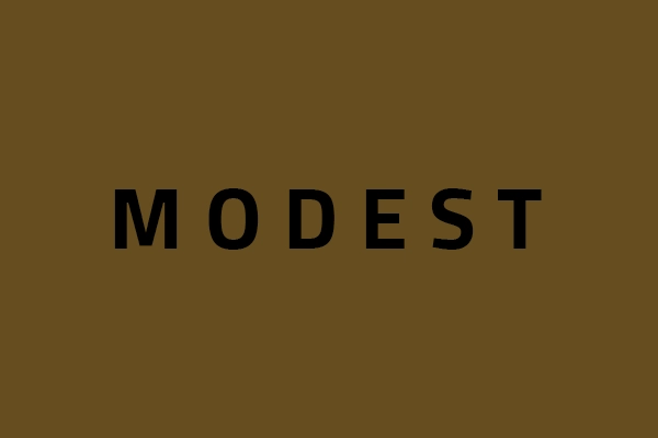 modest logo